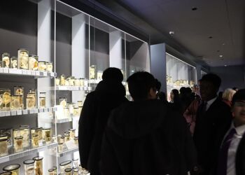Year 10 History Trip to the Hunterian Museum & LSE